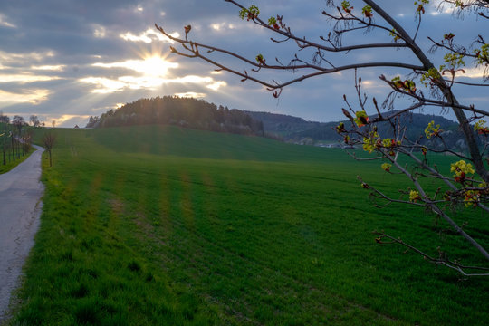Landscape of Blansky les, Czech Republic.