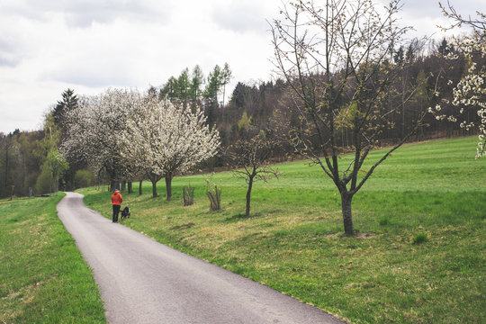 Landscape of Blansky les, Czech Republic. Woman is walking her dog.