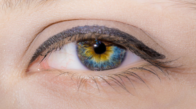Woman eye with painted long eyelashes and professional make-up close-up macro