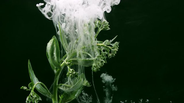 Amazing spreading of paint on a green herb
