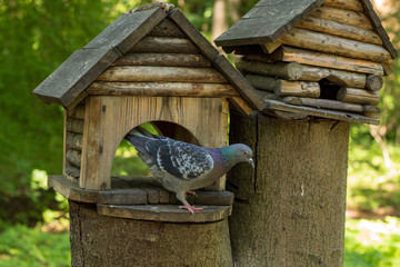 Naklejka premium wooden house
