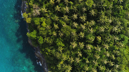 Overhead drone shot of tops of palm trees and turquoise sea water in Ko Pu island in Phuket,...