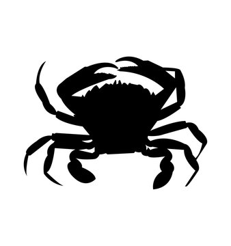 Powerful crab silhouette