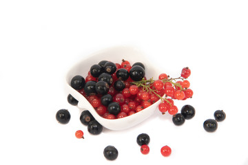 Red and black currants isolated on white background.
