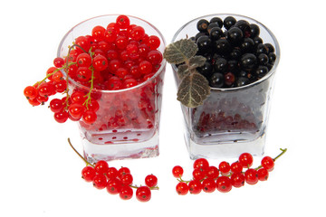Red and black currants isolated on white background.