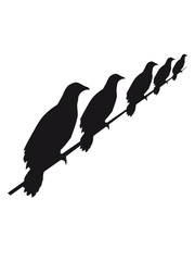 viele strom rabe leitung 5 freunde team crew seil sitzend silhouette schwarz umriss schatten adler falke taube vogel fliegen clipart