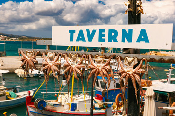 Drying octopus, traditional greek seafood and taverna in harbour of Chania in the sunny morning, Crete, Greece - obrazy, fototapety, plakaty