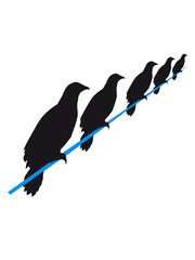 viele strom rabe  leitung 5 freunde team crew seil sitzend silhouette schwarz umriss schatten adler falke taube vogel fliegen clipart