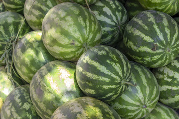 Close-up shot of green fresh watermelon at bazaar