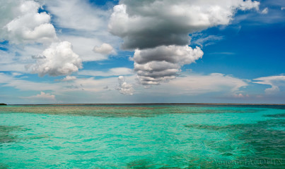 Fototapeta premium Los Tortuguillos, Venezuela