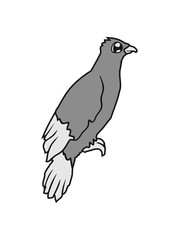 süß niedlich comic cartoon gesicht rabe sitzend adler falke taube vogel fliegen clipart