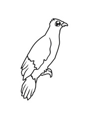 süß niedlich comic cartoon gesicht rabe sitzend adler falke taube vogel fliegen clipart