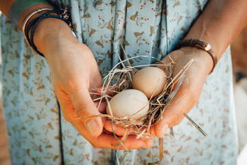 Hands hold eggs in the hay on the farm market