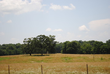 Country Ride 8