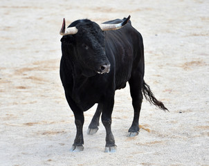 toro español