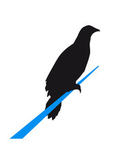 seil rabe sitzend silhouette umriss schatten adler falke taube vogel fliegen clipart