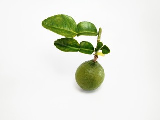 a kaffir lime with leaves