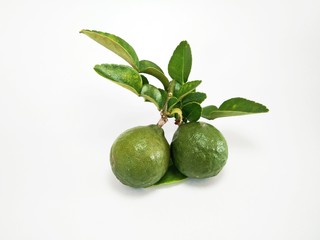 a kaffir lime with leaves