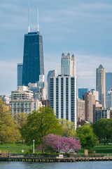 The Chicago skyline and South Pond at Lincoln Park in Chicago, Illinois