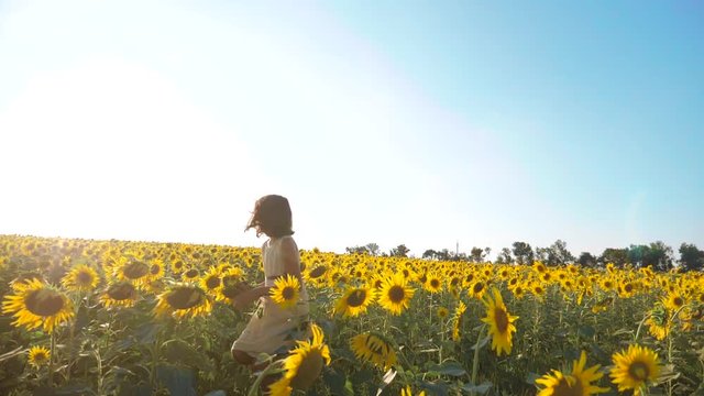 Happy little girl running happy free across the field with sunflowers. slow motion video . smelling big sunflower on summer field. Delight of a pleasant smell. Summer holiday. lifestyle concept