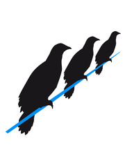 rabe strom leitung 3 freunde team crew seil sitzend silhouette schwarz umriss schatten adler falke taube vogel fliegen clipart