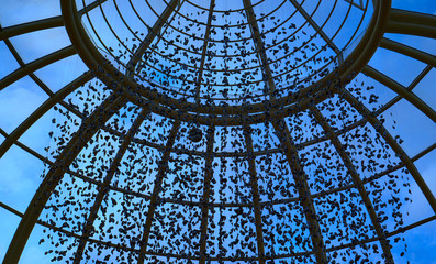 Transparent conical ceiling