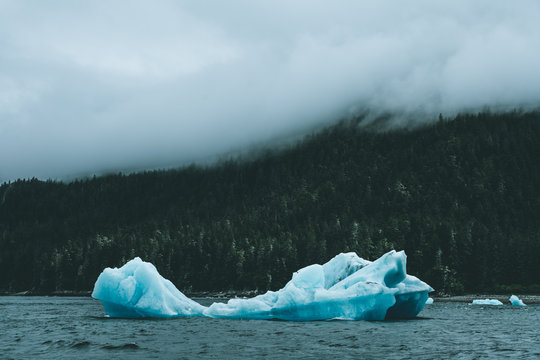 Iceberg in water surrounded by forest and fog