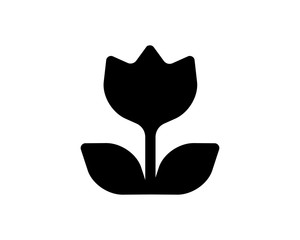 black tulip flower flora florist plant botanical image vector icon logo