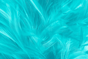 feather color turquoise emerald green background 