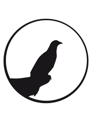 kreis rund sonne mond nacht klippe rabe sitzend silhouette schwarz umriss schatten adler falke taube vogel fliegen clipart