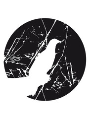 kratzer risse kreis rund sonne mond nacht klippe rabe sitzend silhouette umriss schatten adler falke taube vogel fliegen clipart