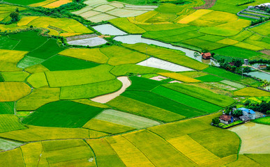 amazing landscape rice field on Bac Son, Viet Nam, above rice terraces in a beautiful day rice field on Bac Son, Viet Nam