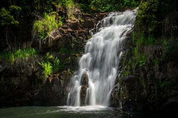 Fototapeta na wymiar Waimea Falls in Waimea Valley in Hawaii
