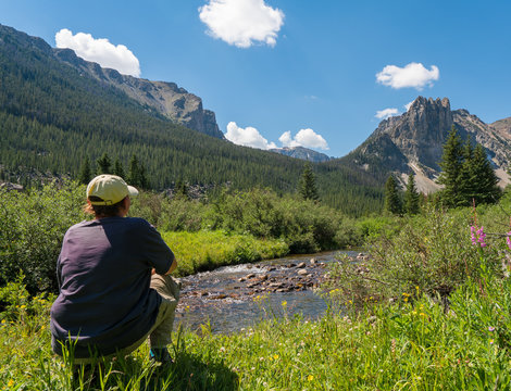 Thinking of the Mountains