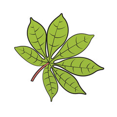 green color cassava leaf isolated on white background vector drawing