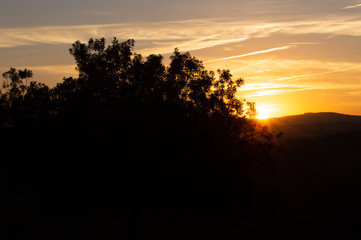 Fototapeta na wymiar tree, hill, prayer, sunrise, sunset, pray