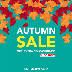 Autumn sale banner template with leaves, fall leaves for shopping sale. banner design. Poster, card, label, web banner. Vector illustration