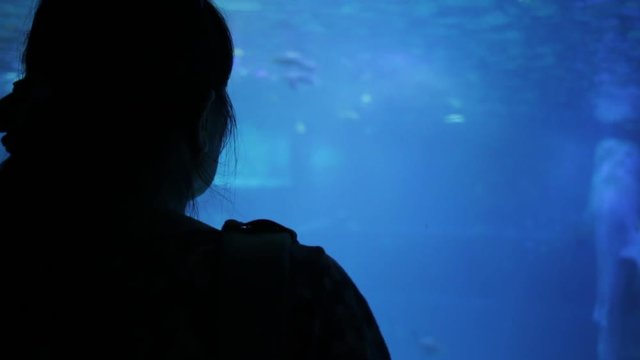 Woman gazing at the Pacific Ocean exhibit in Osaka aquarium
