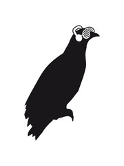 dj party cool sonnenbrille kopfhörer musik hören club disko rabe sitzend silhouette schwarz umriss schatten adler falke taube vogel fliegen clipart