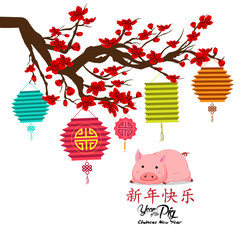 Happy Chinese new year 2019, year of the pig with cute cartoon pig. Chinese wording translation happy Chinese new year