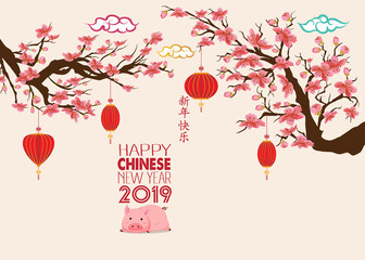 Happy Chinese new year 2019, year of the pig with cute cartoon pig. Chinese wording translation happy Chinese new year