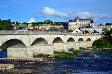 Fototapeta premium Loire and Chateau d'Amboise in France