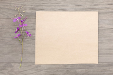 Blooming sally purple flowers with craft paper blank on old grunge wooden background. Top view. Minimalistic mockup.