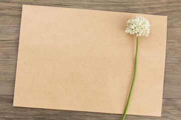 Wild garlic white flowers with craft paper blank on old grunge wooden background. Top view. Minimalistic mockup.