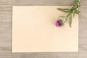 Wildflower with handmade craft notebook on old grunge wooden background. Top view. Minimalistic mockup.