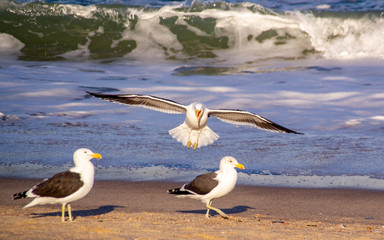 Landing