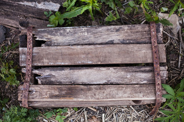old wood, firewood, box