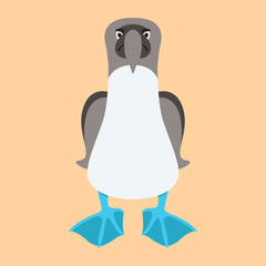 BLUE FOOTED BOOBIE BIRD cartoon vector illustration flat style