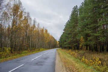 Fototapeta na wymiar Autumn asphalt road line passing through the forest