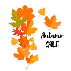 Set of autumn yellow leaves and inscription Autumn sales